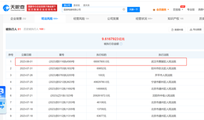 國(guó)美電器遭強(qiáng)制執(zhí)行6806萬(wàn)元，日用品批發(fā)業(yè)務(wù)成謎